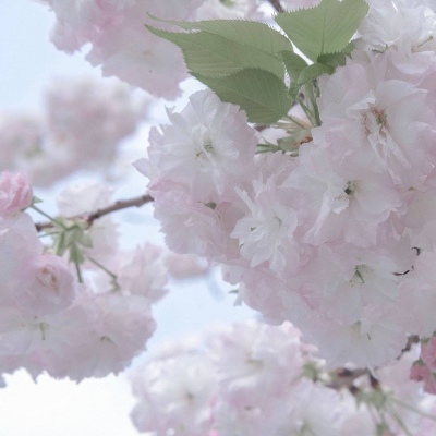 Furry绘画光影技巧Furry群